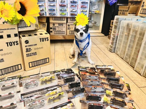 頭に花を咲かせるデク