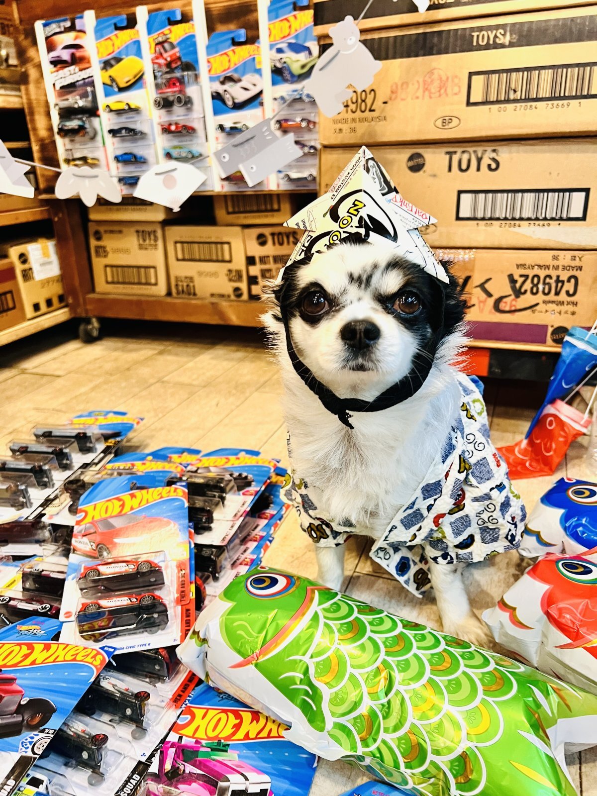 5月はイベント盛り沢山