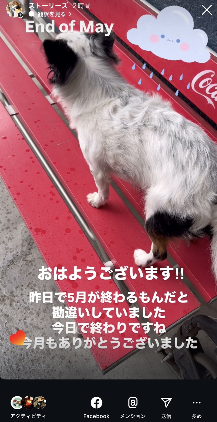 今日も雨降り☔️