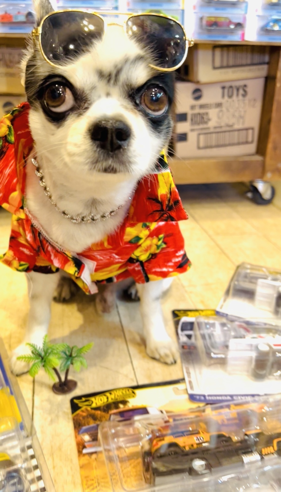 暑いしか言えない