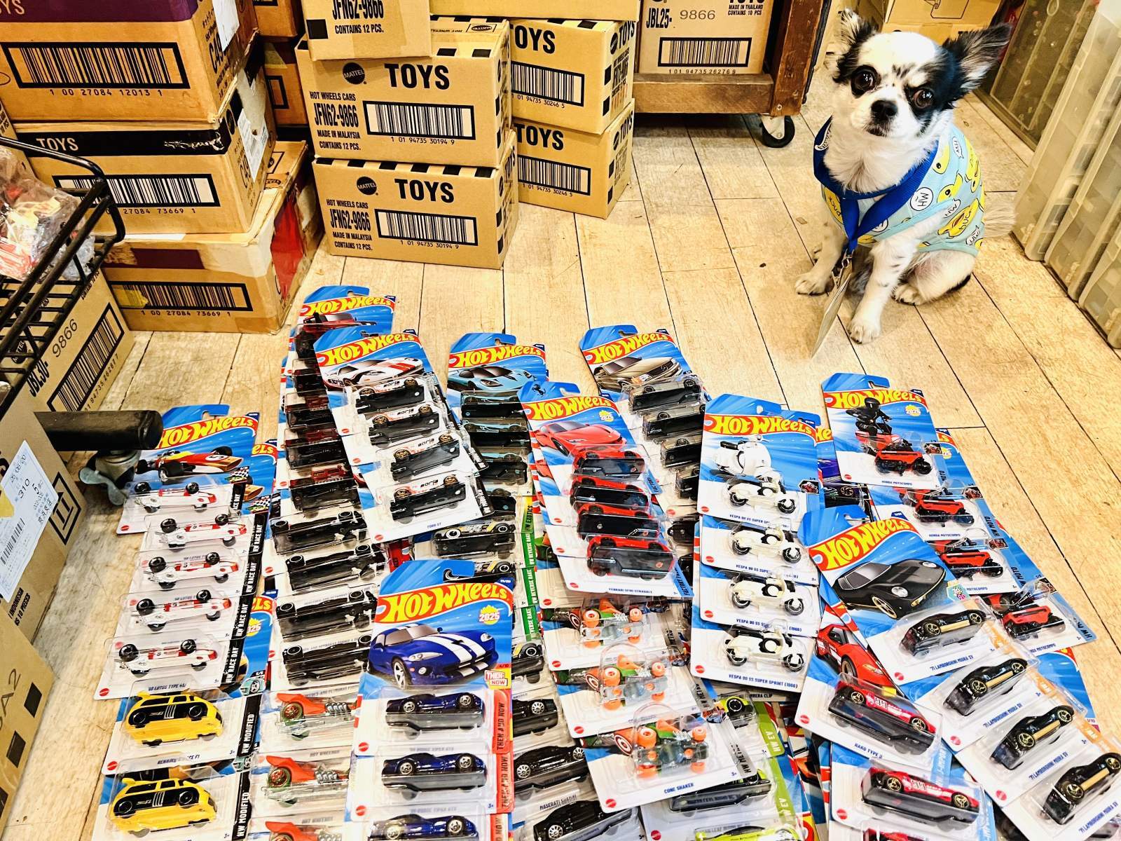 9月分のアソート更新しました‼︎