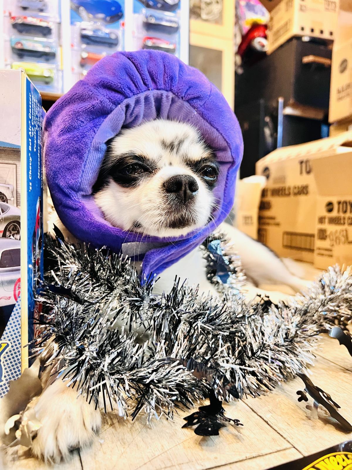 ニューリリースのみですが更新しました