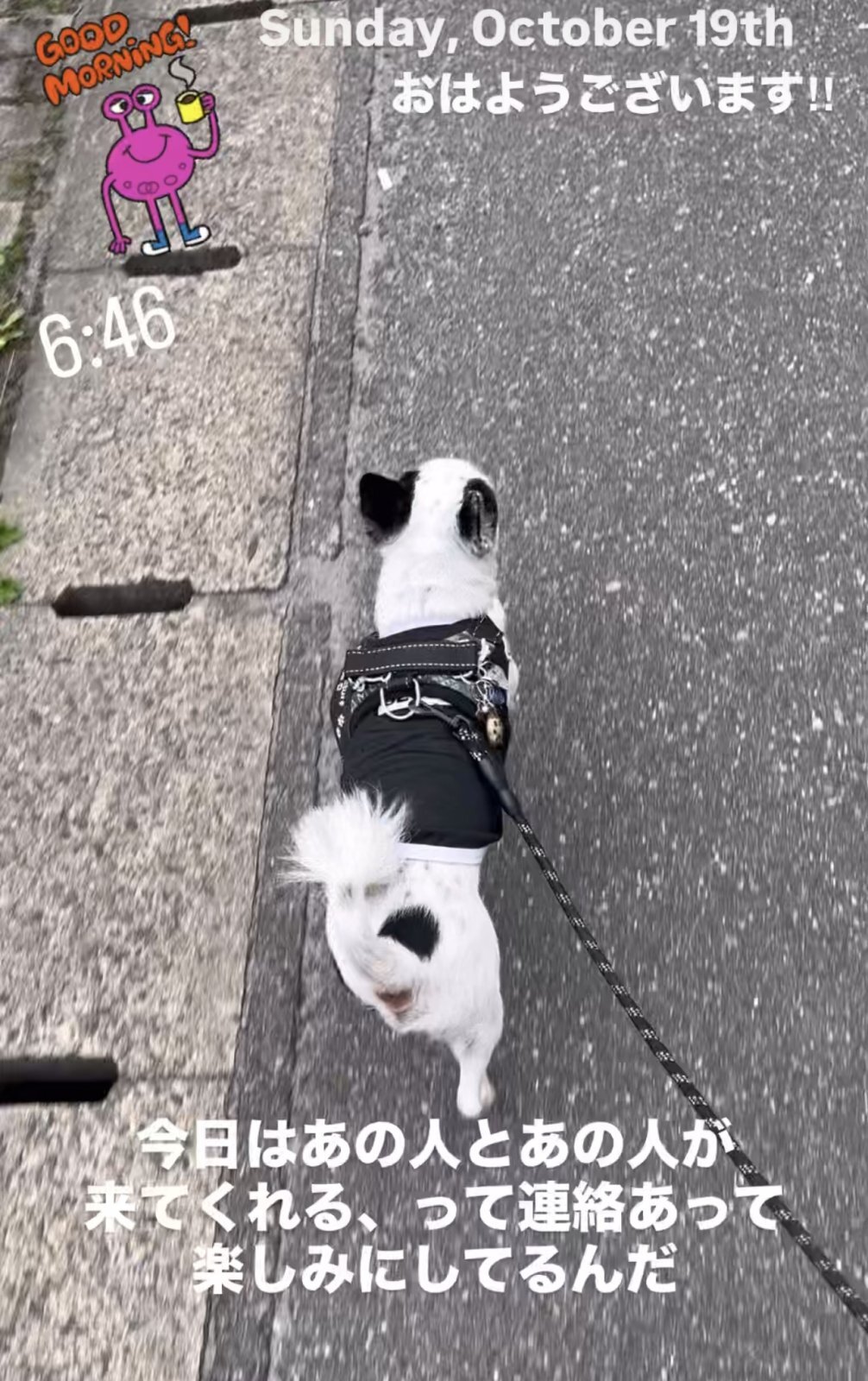 お天気がいいと嬉しい