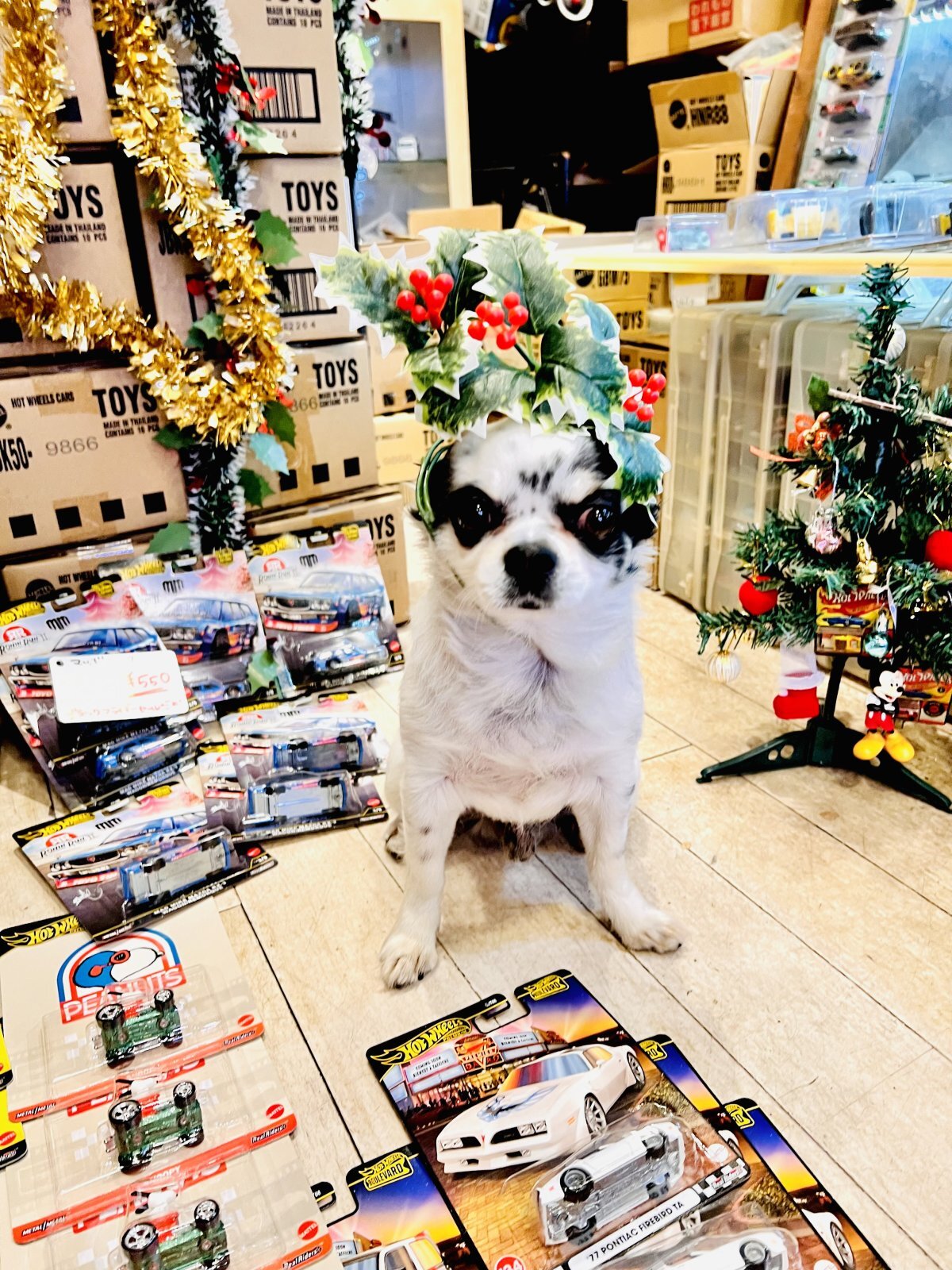 11月最後の更新です