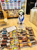 画像: 【NEW】更新しました