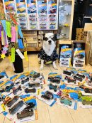 画像: 7月の始まりです