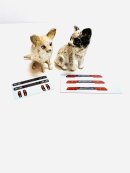 画像: 💡ライトデカールに関してのお知らせです💡