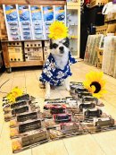 画像: 8月最後の更新です🚗🔥