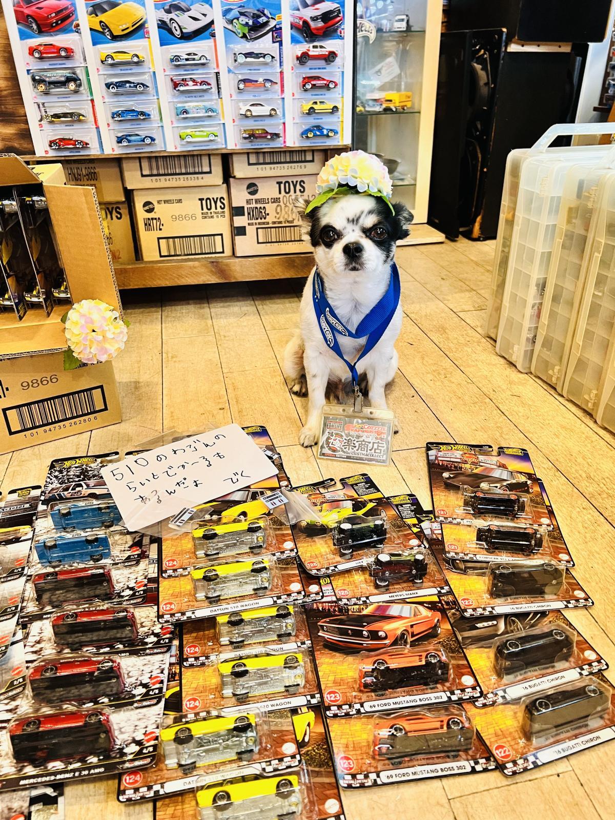 画像: 【NEW】更新しました